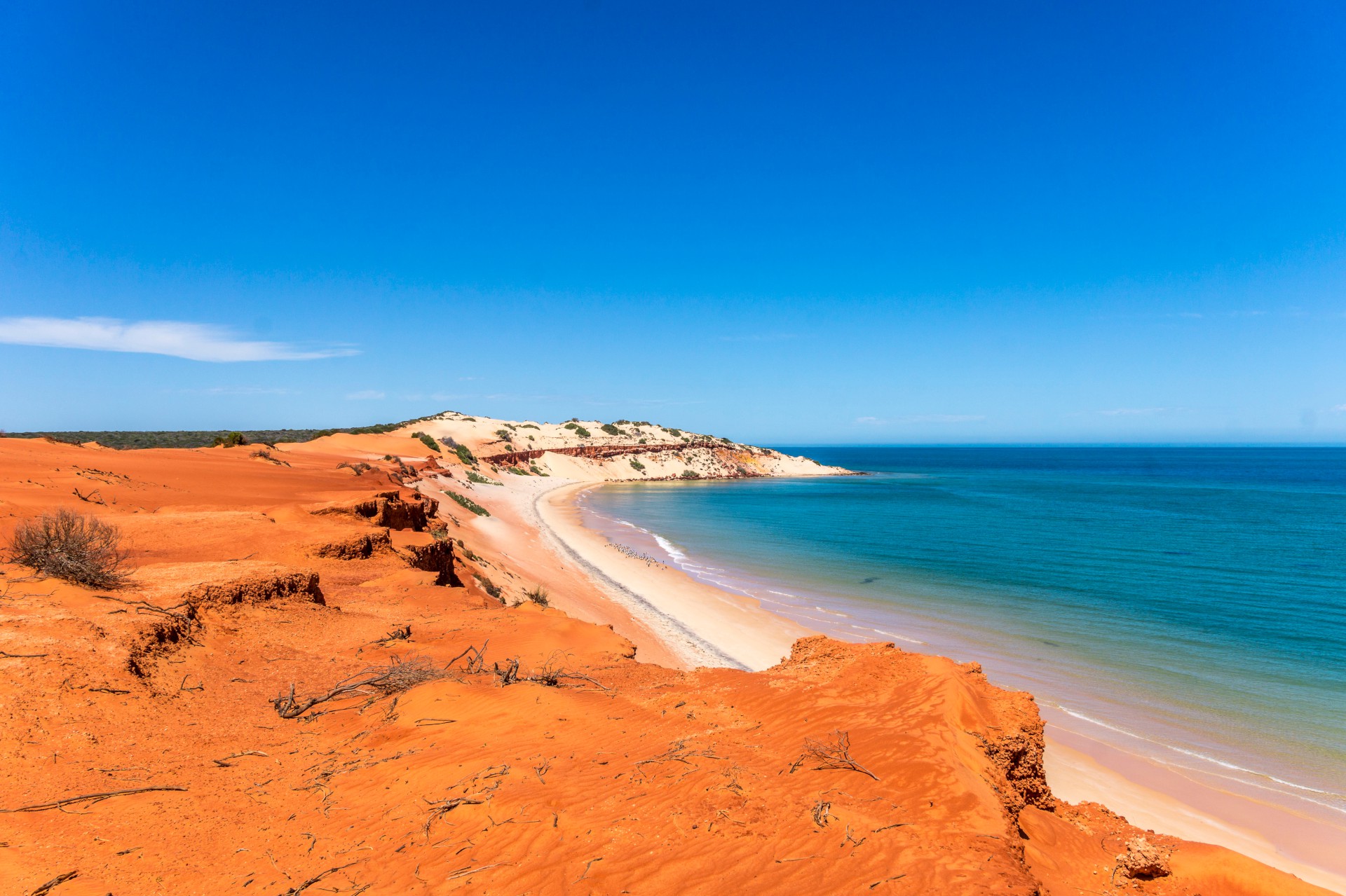 Shark Bay Western Australia